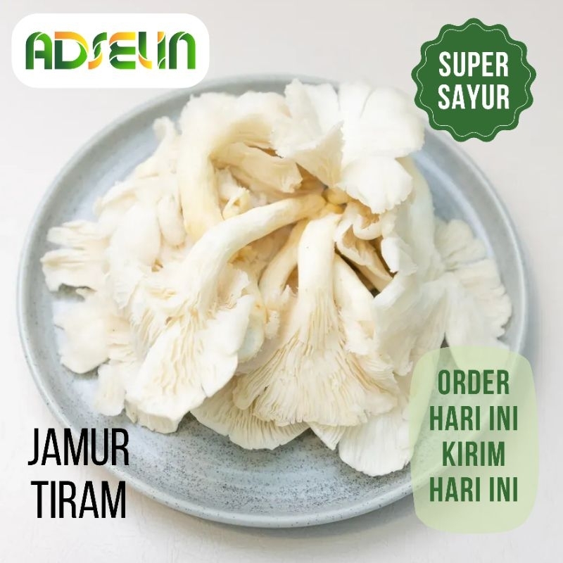 

Jamur Tiram Putih Sayur Segar Bersih