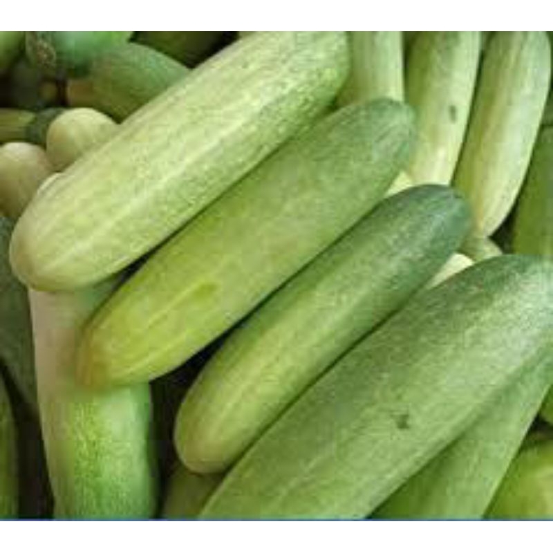 

timun / cucumber 5kg