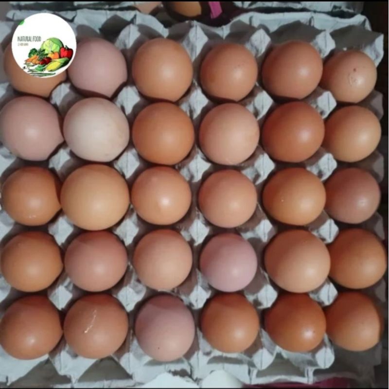 

telur, telor, ndok, endok, horen fresh coklat - 250gr