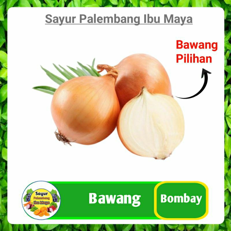 

Bawang Bombai Bombay - Sayur Sayuran Segar Palembang