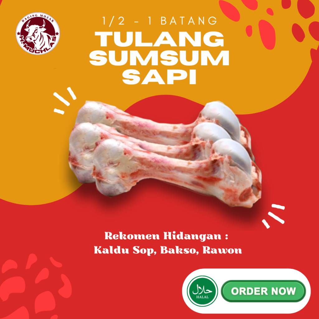 

TULANG SUMSUM / SEKENGKEL SAPI 1/2 - 1 BATANG