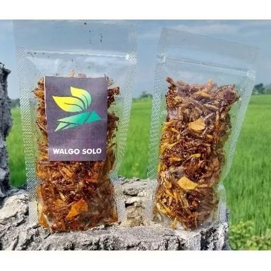 

Belalang Goreng Kecil Walang Goreng kecil khas Gunung Kidul