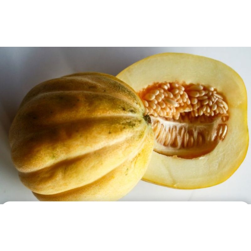 5 Biji Benih Bibit Blewah Manis