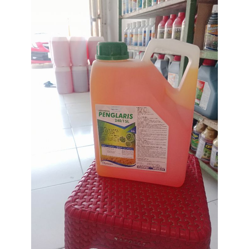 herbisida penglaris 240sl 5 liter