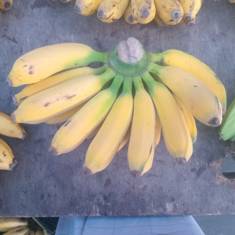 

Pisang Raja Lokal