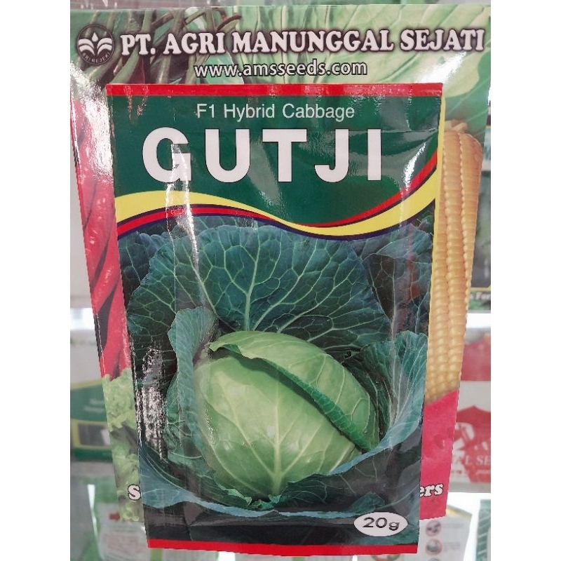 Benih Kubis GUTJI 20gr