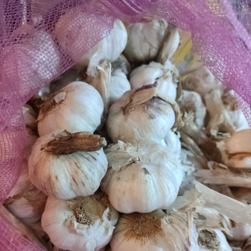 

Bawang putih 1 kg