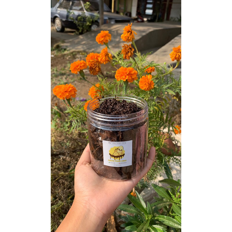 

[175gr] Kripik Pisang Lumer by Teman Nyemil 2023