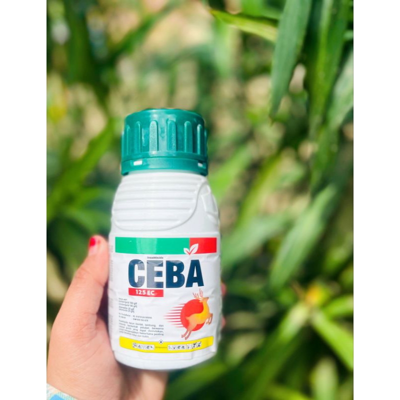 insektisida CEBA 125 EC isi 200 ml