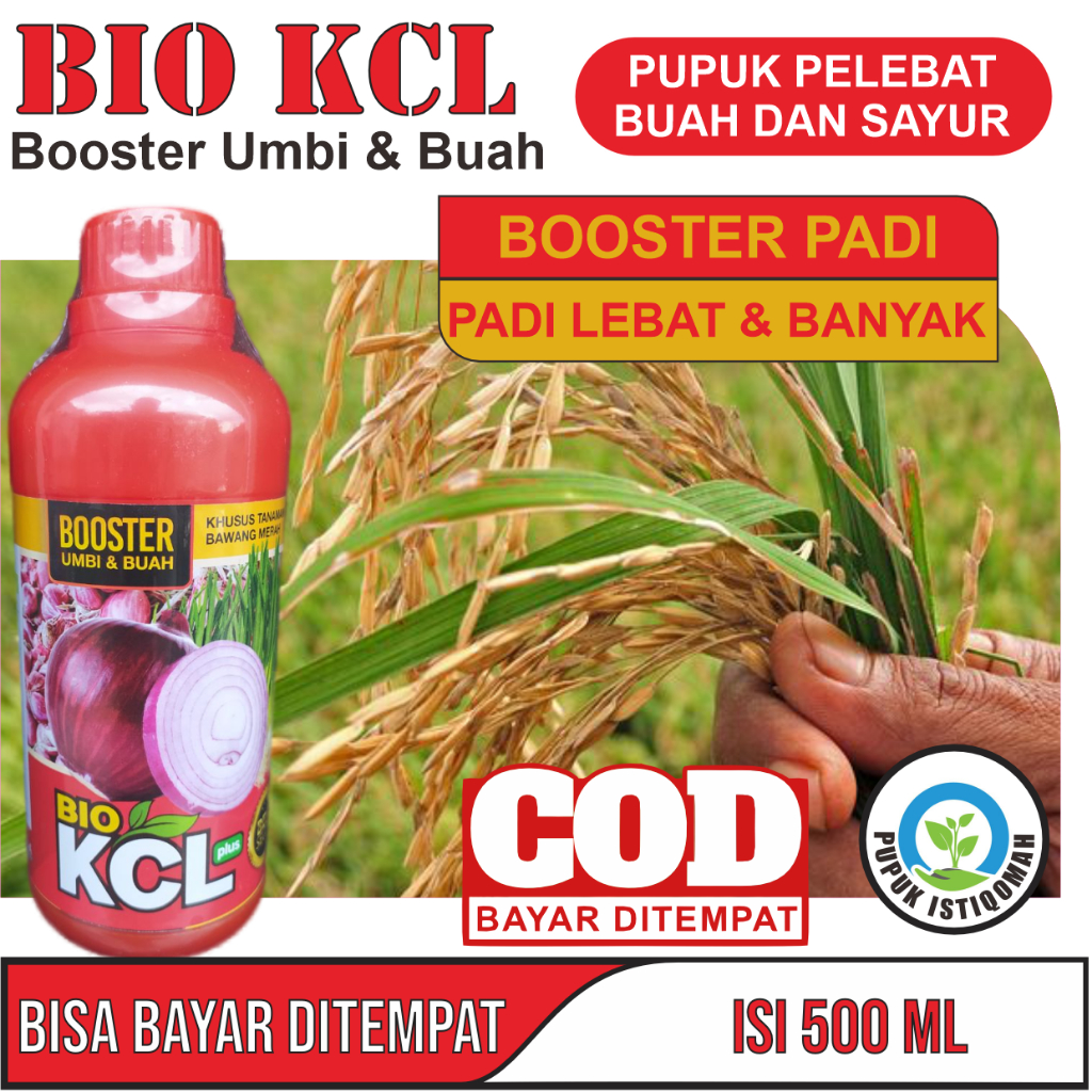 Pupuk untuk Memperbanyak Anakan Padi - Pupuk Padi Agar Beranak Banyak - Pupuk yang Bagus untuk Padi 