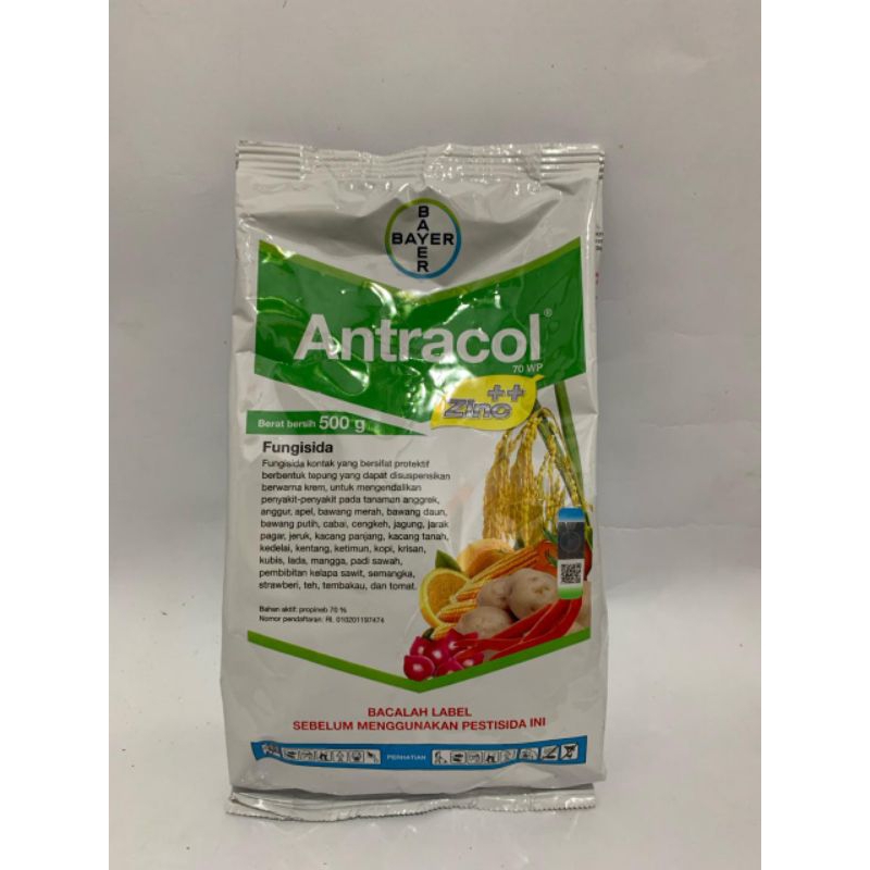 ANTRACOL 500 GRAM FUNGISIDA OBAT JAMUR