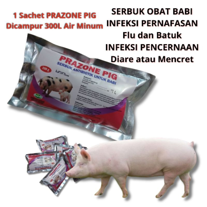 PRAZONE PIG OBAT BABI SAKIT OBAT BABI LEMAS OBAT BABI TIDAK MAU MAKAN OBAT MENCRET BABI OBAT BABI DI