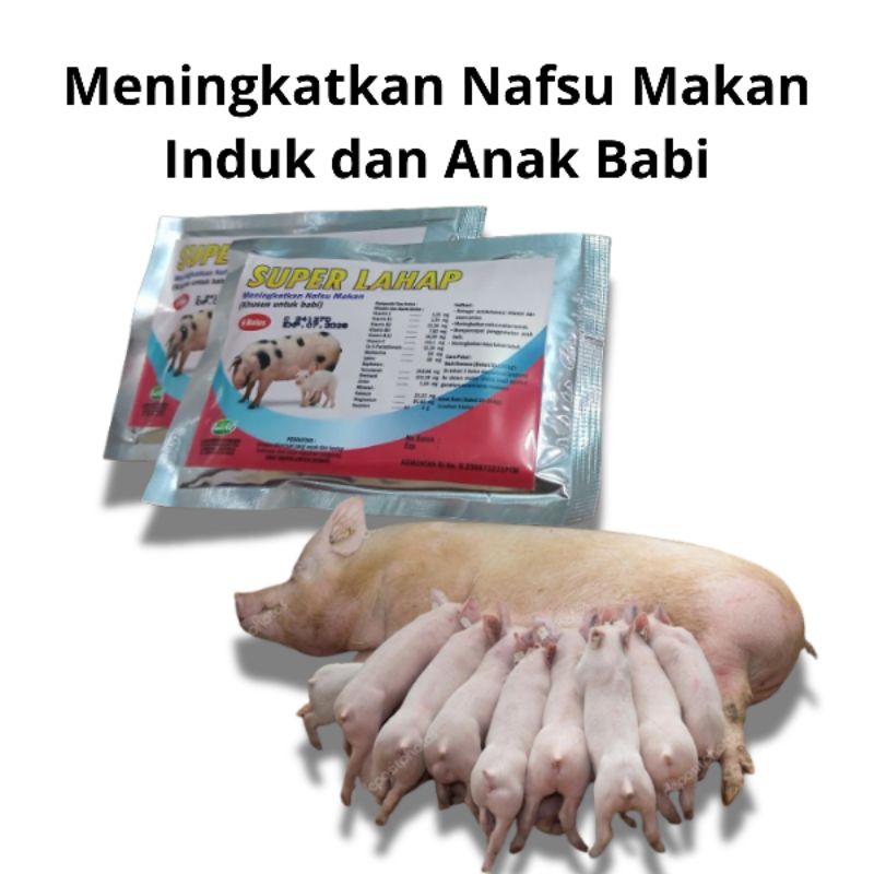 SUPER LAHAP Meningkatkan nafsu makan babi - Obat Babi Tidak Mau Makan - Mempercepat Pertumbuhan Babi