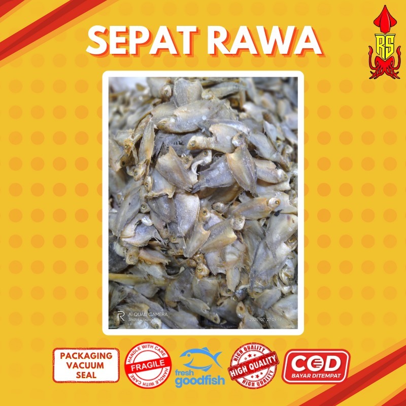 

[COD] IKAN SEPAT RAWA ASIN / IKAN KEMBUNG / IKAN ASIN MURAH / / IKAN ASIN / IKAN KERING ASIN / IKAN KERING / IKAN PREMIUM - IKAN ASIN RS