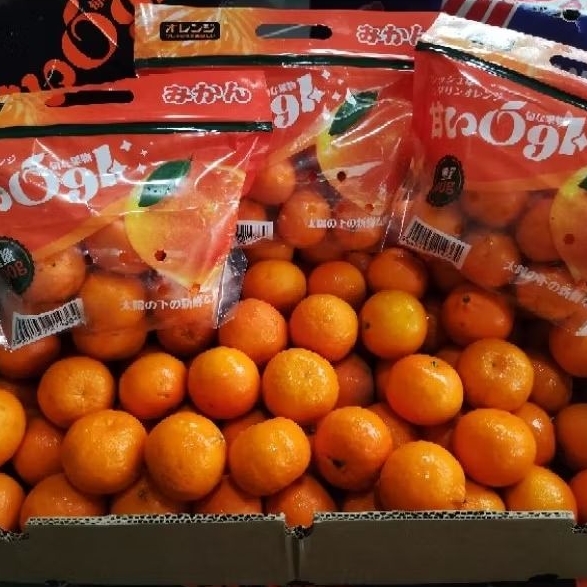 

[KIRIM INSTAN/SAMEDAY] RESTOCK!! Jeruk Wogan Mini Pack 800gr Manis