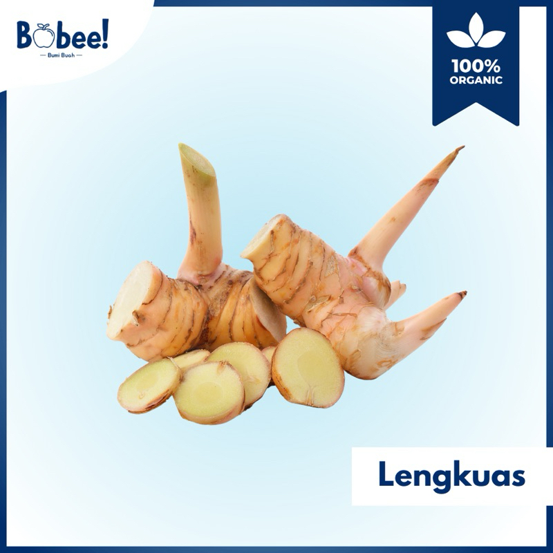 

Lengkuas Super 250gr Fresh & Premium | Bobee.official - (Instant/Sameday)