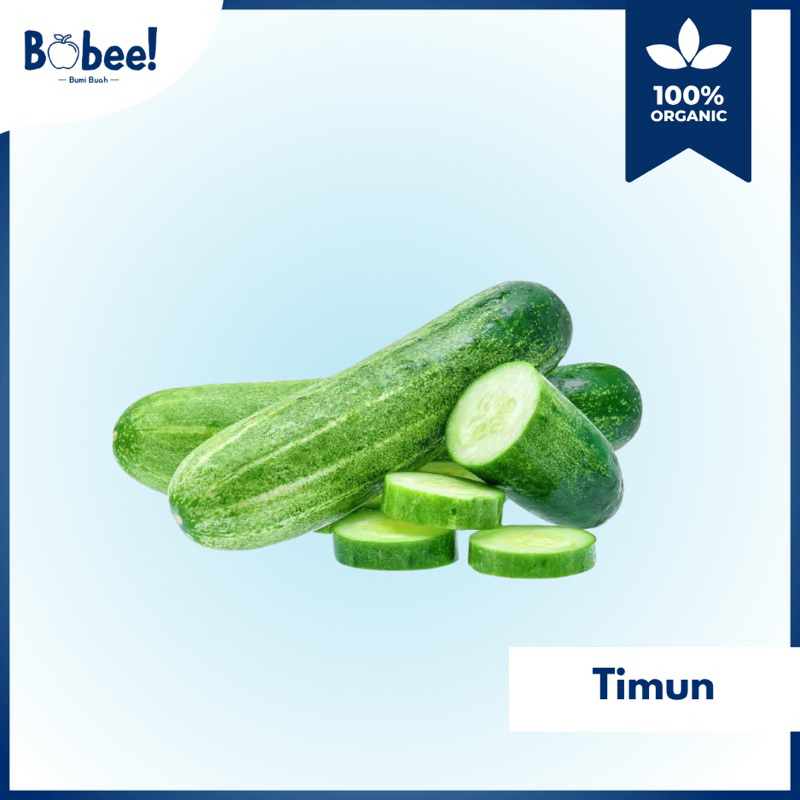 

Timun Super 500gr Fresh & Premium | Bobee.official - (Instant/Sameday)