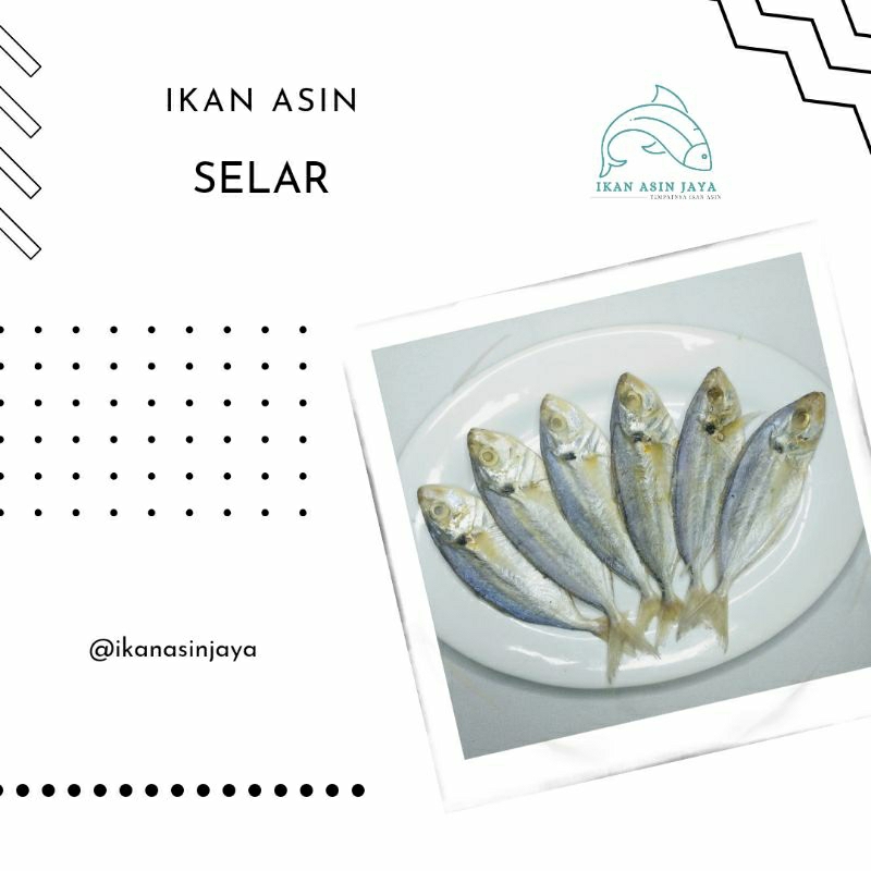 

Ikan Asin Selar Putih 250 Gram