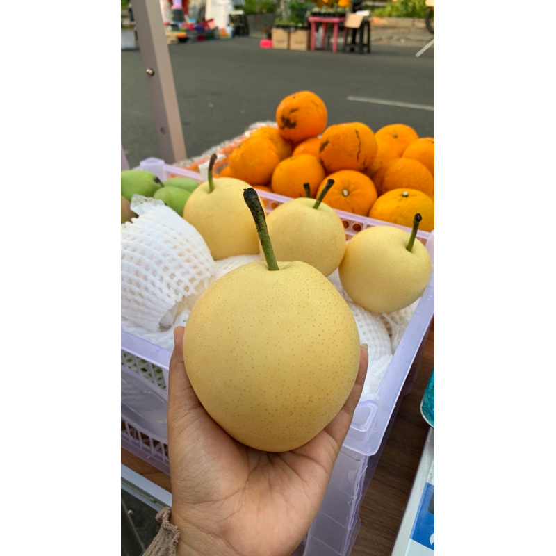 

Pear century (Harga Per Kg)
