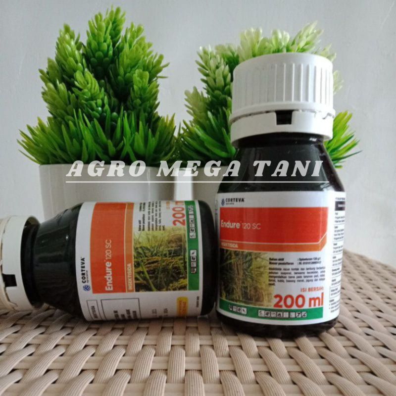 insektisida Endure 120SC 200 ml