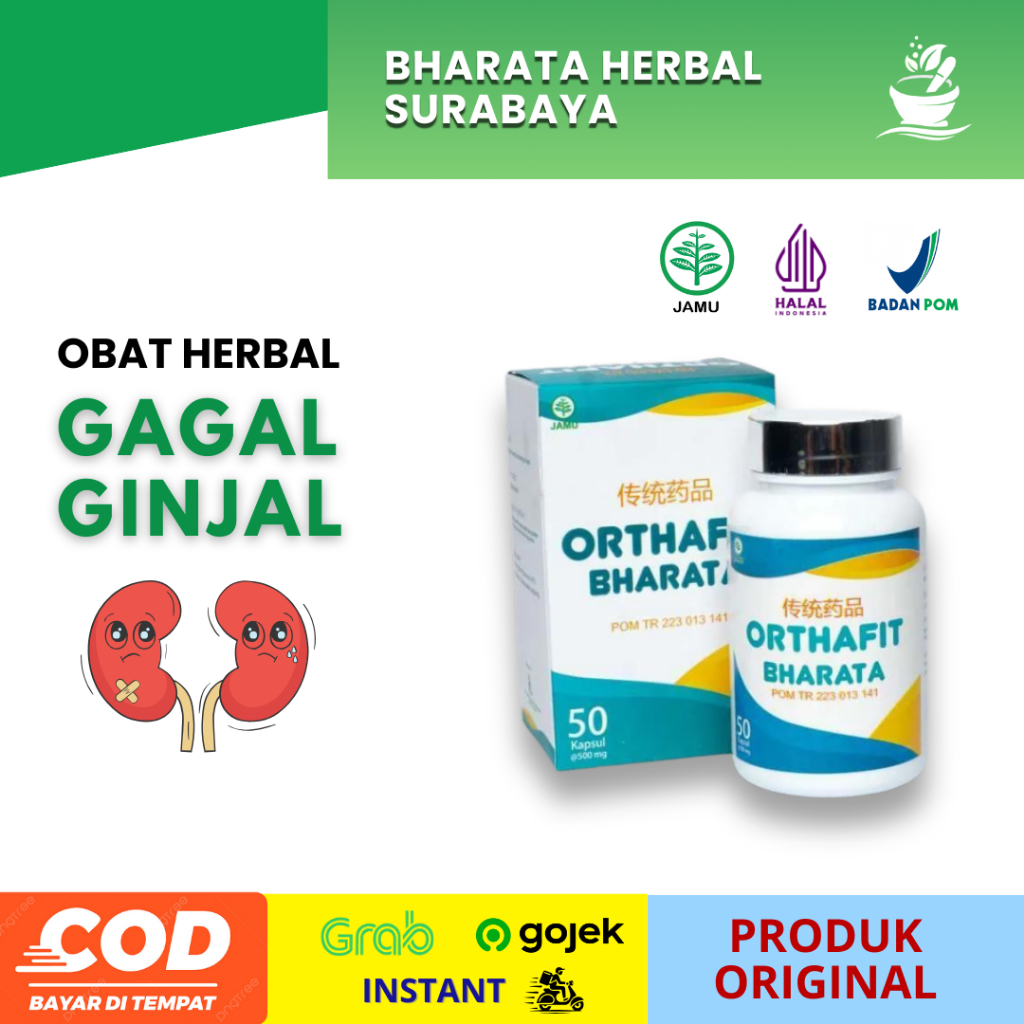 

Obat Ginjal Ampuh Obat Herbal Gagal Ginjal Obat Infeksi Ginjal Obat ISK Orthafit Bharata