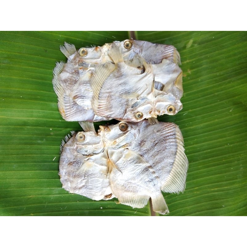 

Ikan Asin Kering bawal laut