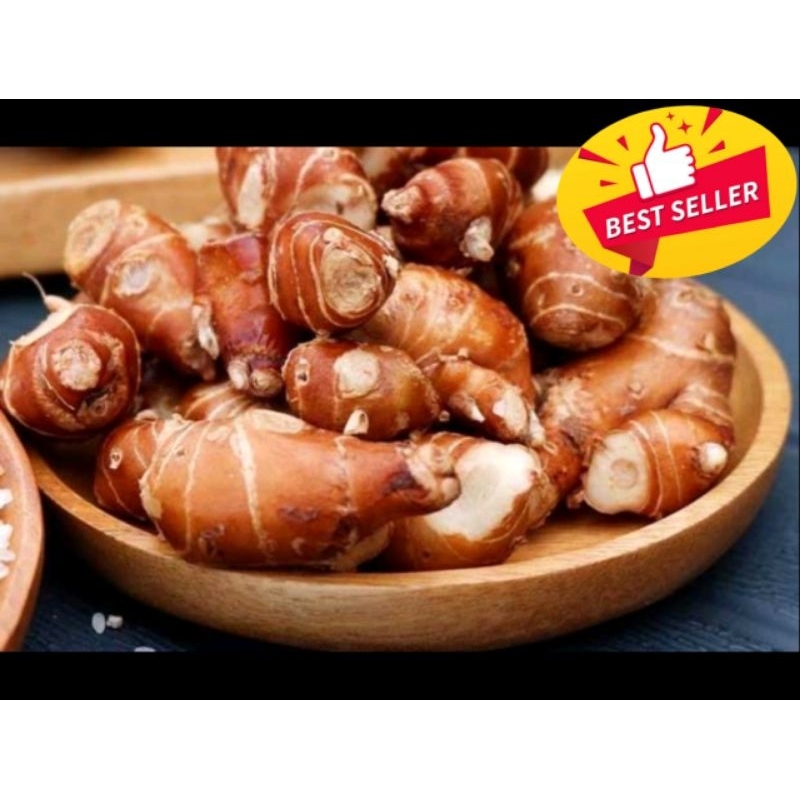

Termurah Kencur segar fresh 500g cikur murah kualitas terbaik