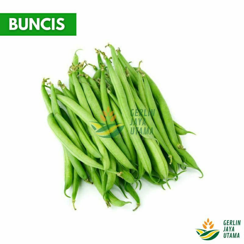 

BUNCIS // UCET // GREEN BEAN // SAYUR SEGAR // FRESH VEGETABLES