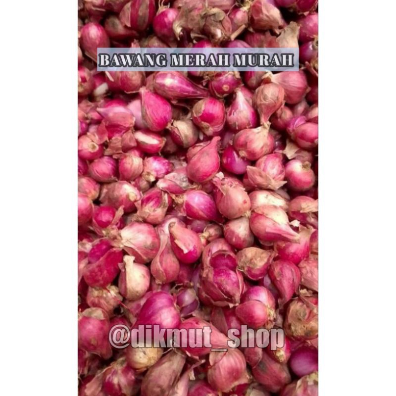 

Bawang Merah Kecil 500 gr