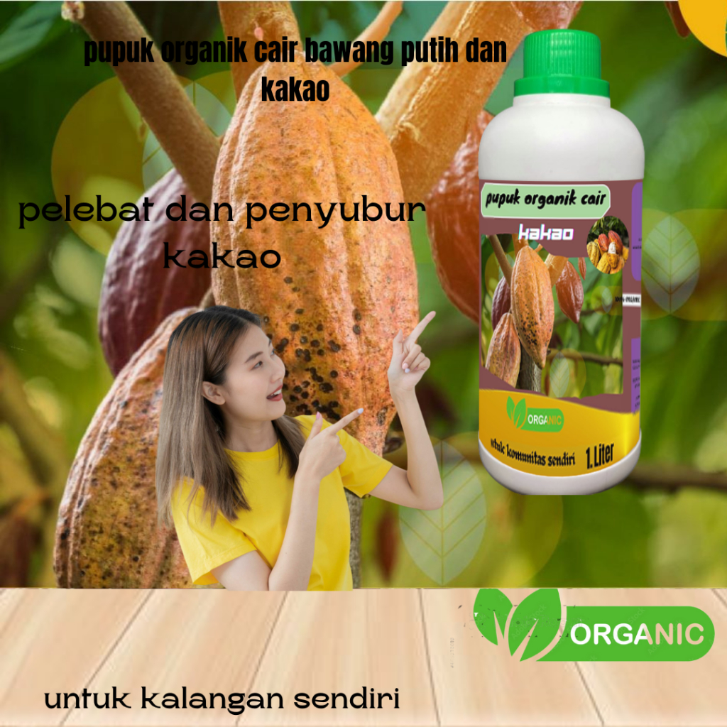 Pupuk oraganik cair kakao Cepat Berbuah Pupuk Booster kakao Agar Cepat Berbuah kakao Cepat Berbuah