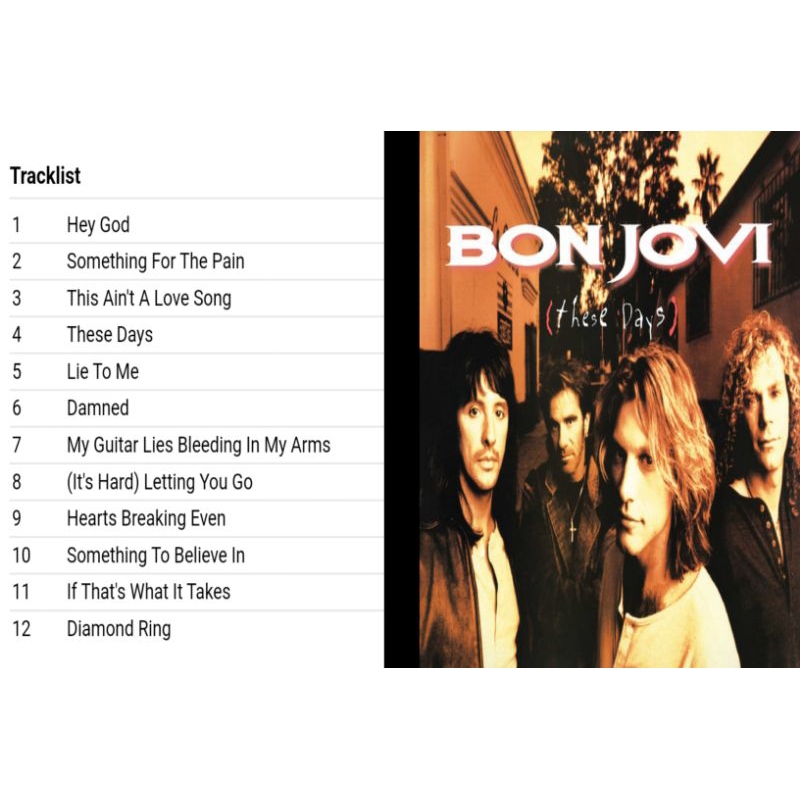 bon jovi cd these days album 1995