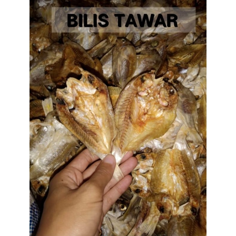 

Bilis Belah Tawar 1 KG