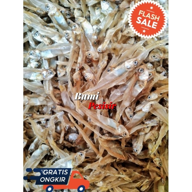 

Teri Bunga Tawar / Ceples 500 GRM
