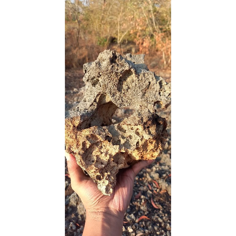 batu karang gunung media bonsai/aquascape berkarakter bolong tembus