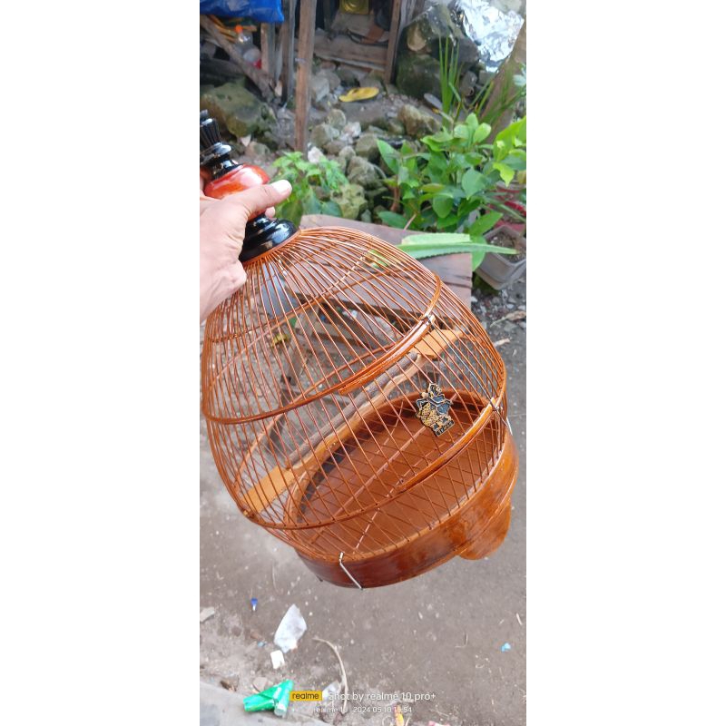 sangkar perkutut minion semar