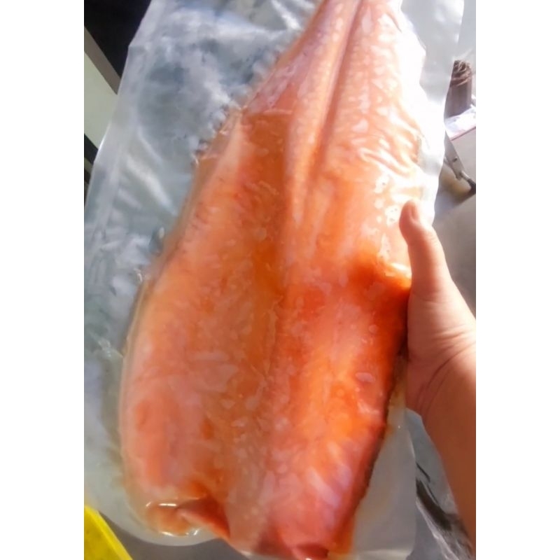

Fillet salmon frozen Trout Norwey