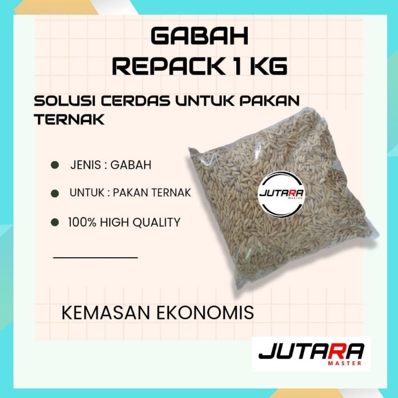 gabah beras merah pakan ayam