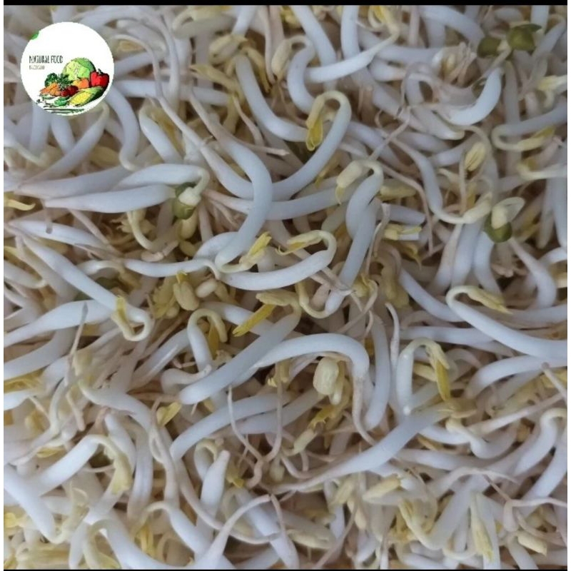 

cambah pecel biasa - 200gr