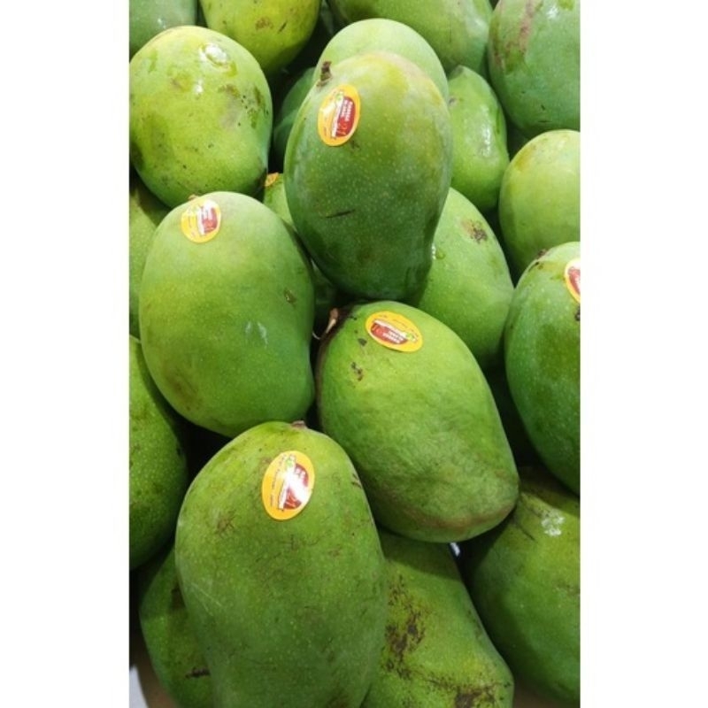 

mangga alpukat 1kg