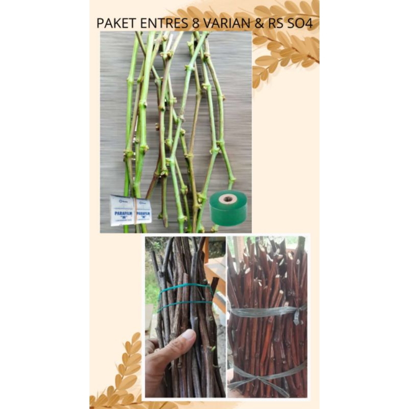 Entres Anggur Per Matun, Utk Varian tanyakan yg ready.