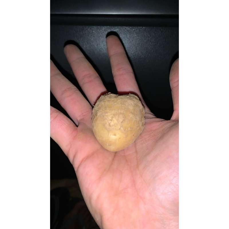 

Kentang kecil somay 500g