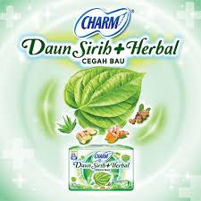 CHARM HERBAL ANSEPT WING 23CM