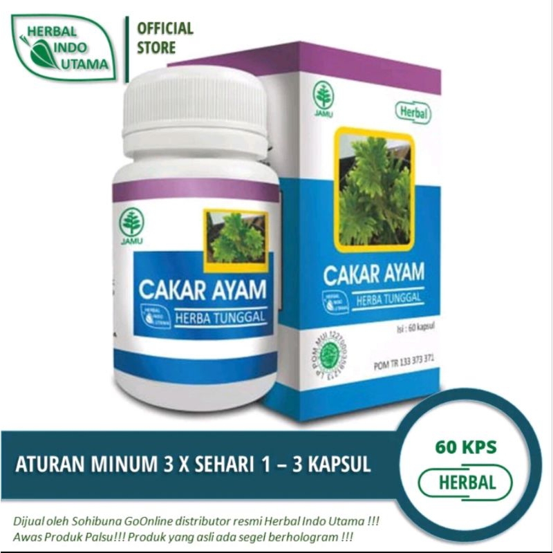 Kapsul Cakar Ayam 60 Kapsul | Hiu Cakar Ayam