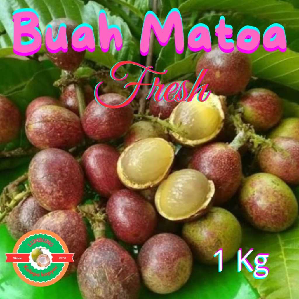 

Buah Matoa Fresh seribu Rasa / kemasan 1 kg.