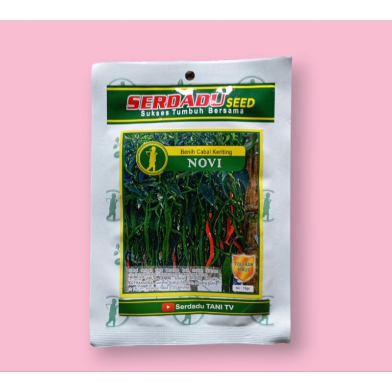 15 gr BENIH CABAI CABE KERITING NOVI ( Original  )