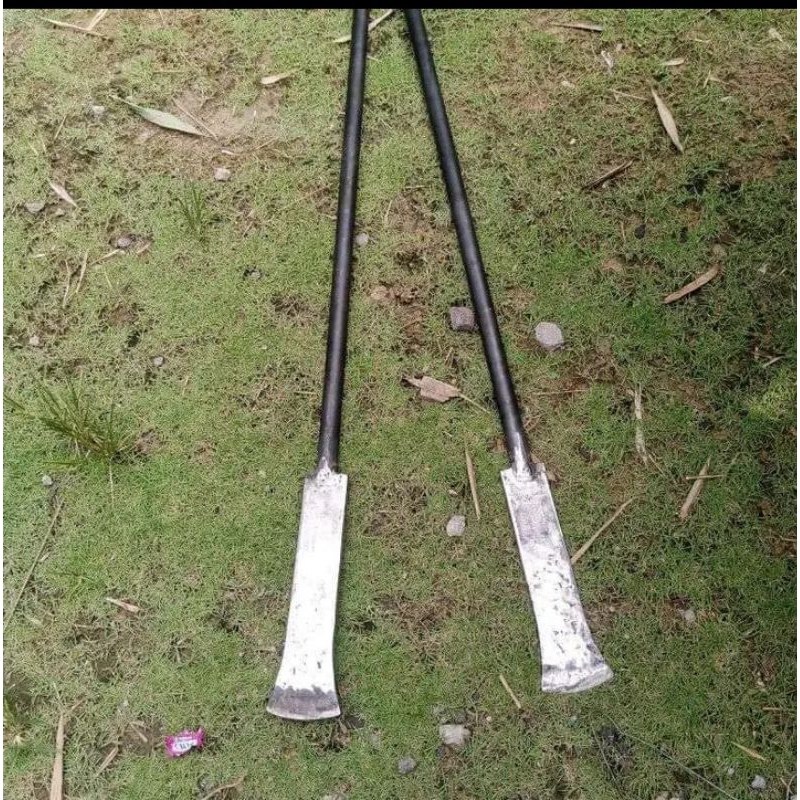 dodos tanah baja dodos sawit