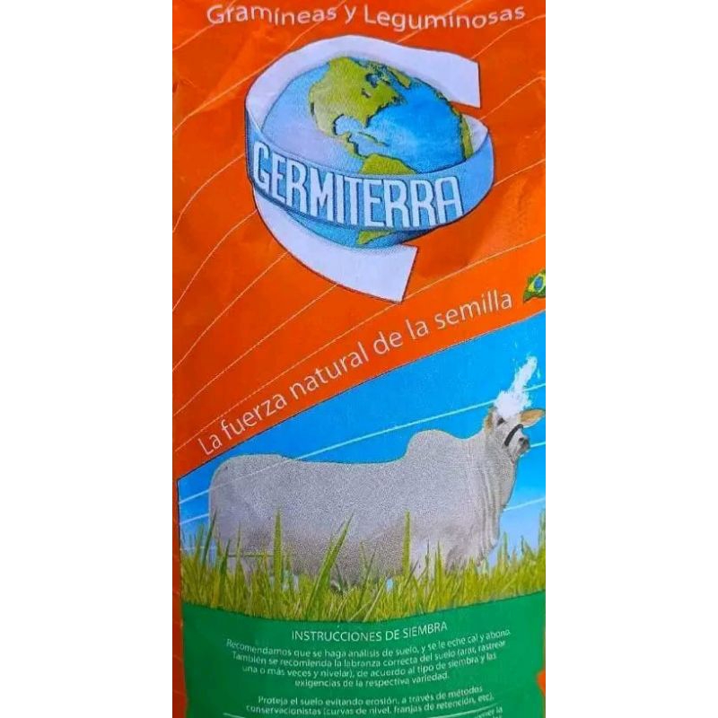 

germetera brazil isi ribu an biji + Kaliandra isi ratusan biji