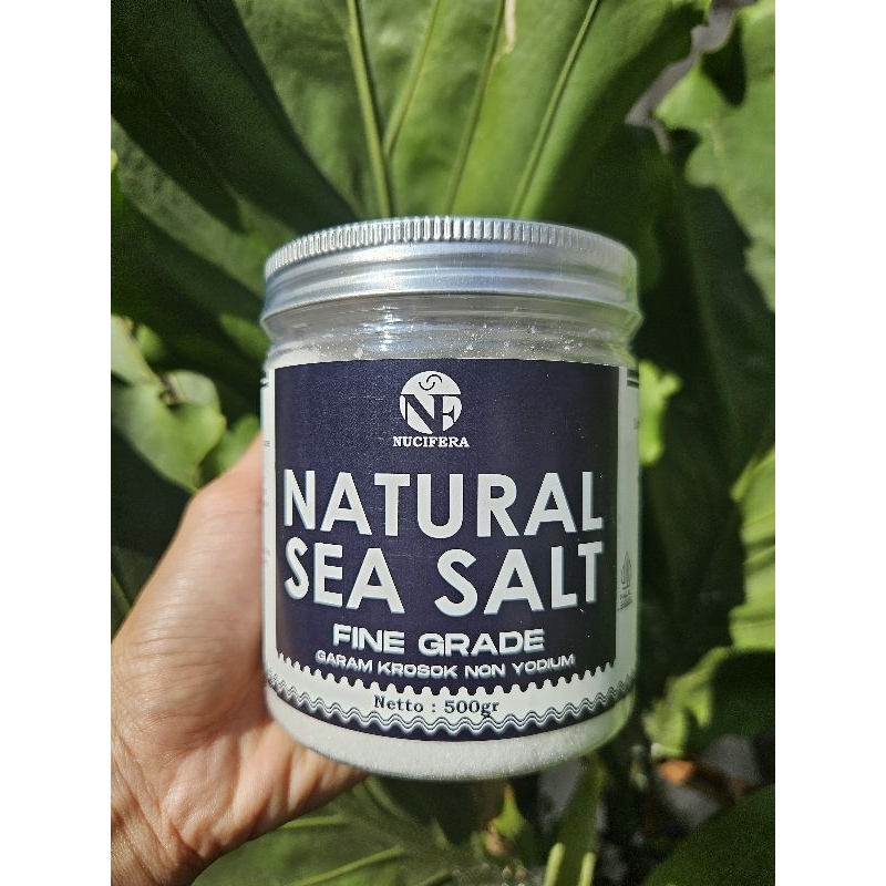 

Natural Sea Salt Fine Grade 500gr | Nucifera Natural Sea Salt Fine Grade