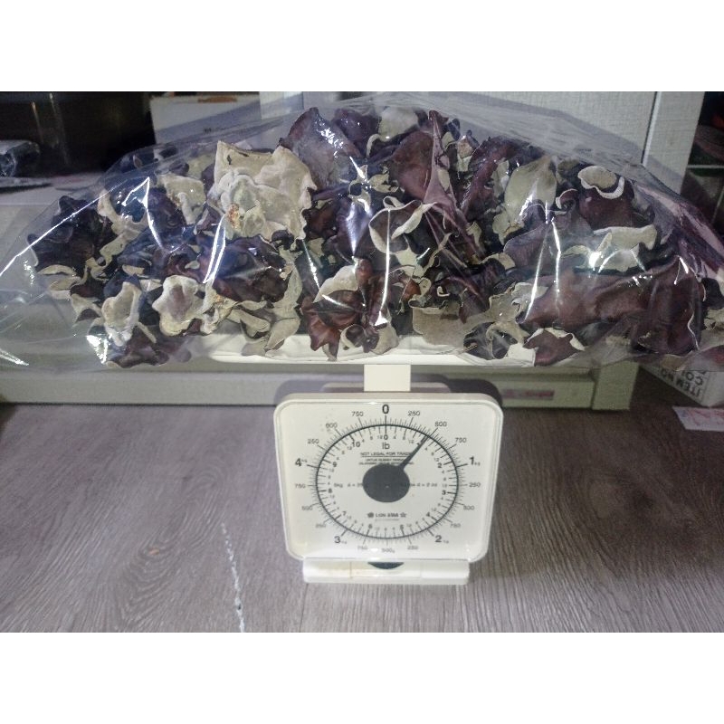 

Jamur Kuping Kering Lokal Kualitas Super 500Gram