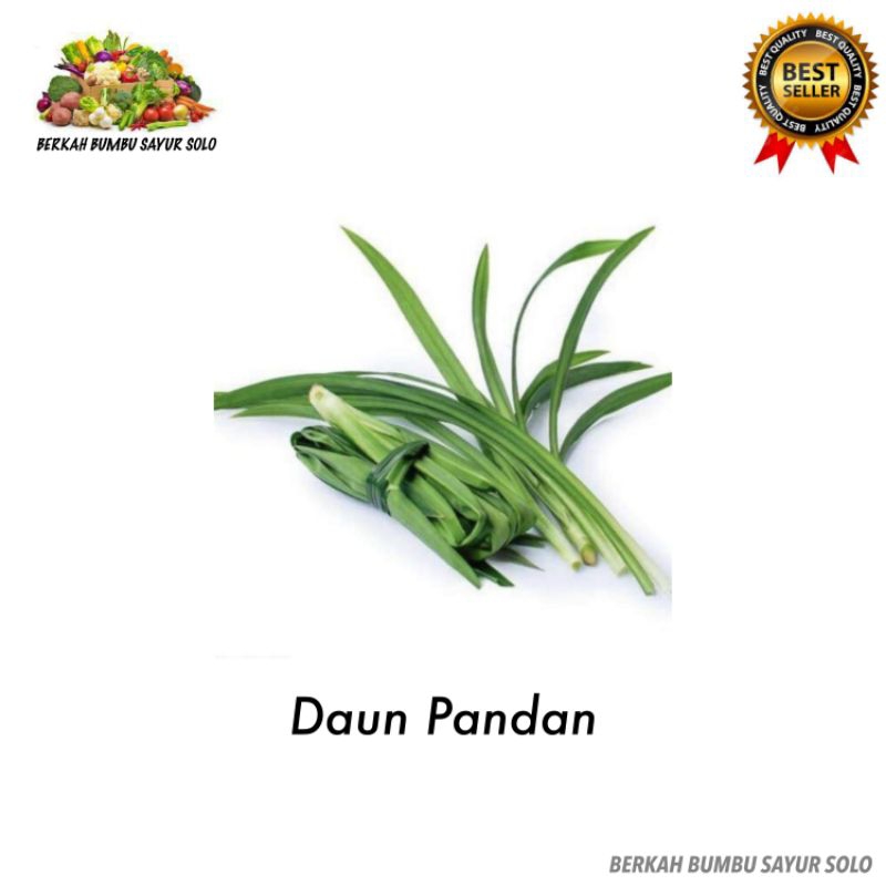 

Daun Pandan Segar per ikat